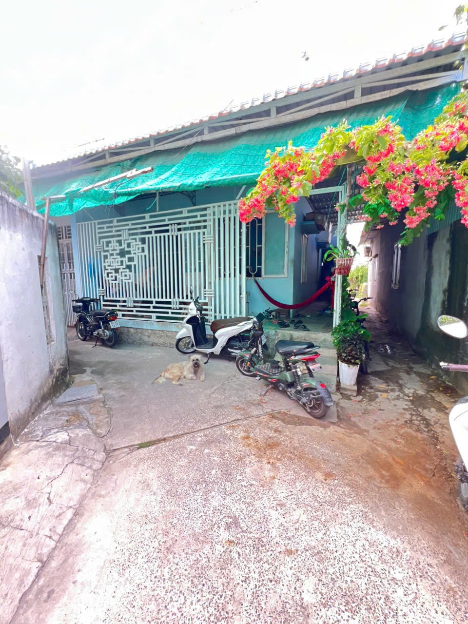 NHÀ VỊ TRÍ ĐẸP - GIÁ TỐT - Chính Chủ Bán Nhà Tại Phường Xuân An, Phan Thiết, Bình Thuận - Ảnh 4