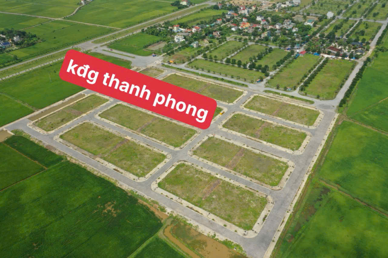 chính chủ bán đất đấu giá thanh phong ,thanh liêm ,hà nam - Ảnh 1