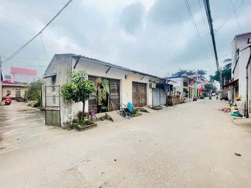 Cần tiền bán gấp:<br>Lô đất 57.1m2, mt4m, 4.35 tỷ, Đại Mạch, Đông Anh, ô tô nhỏ. - Ảnh 3