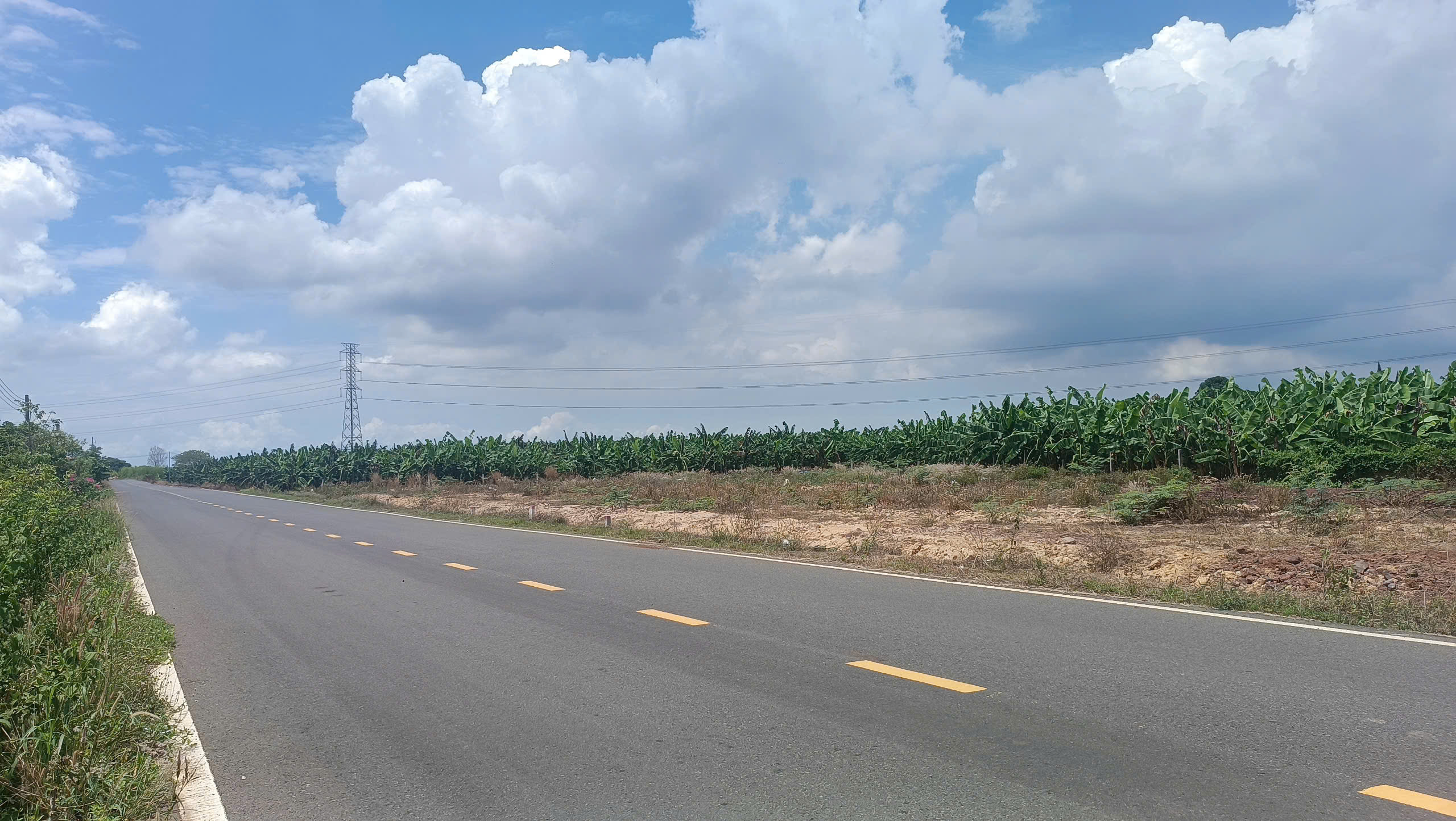 Vị trí vàng! Đất ngay Long Tân, Đất Đỏ, Bà Rịa-Vũng Tàu chỉ với 320 triệu - Ảnh chính