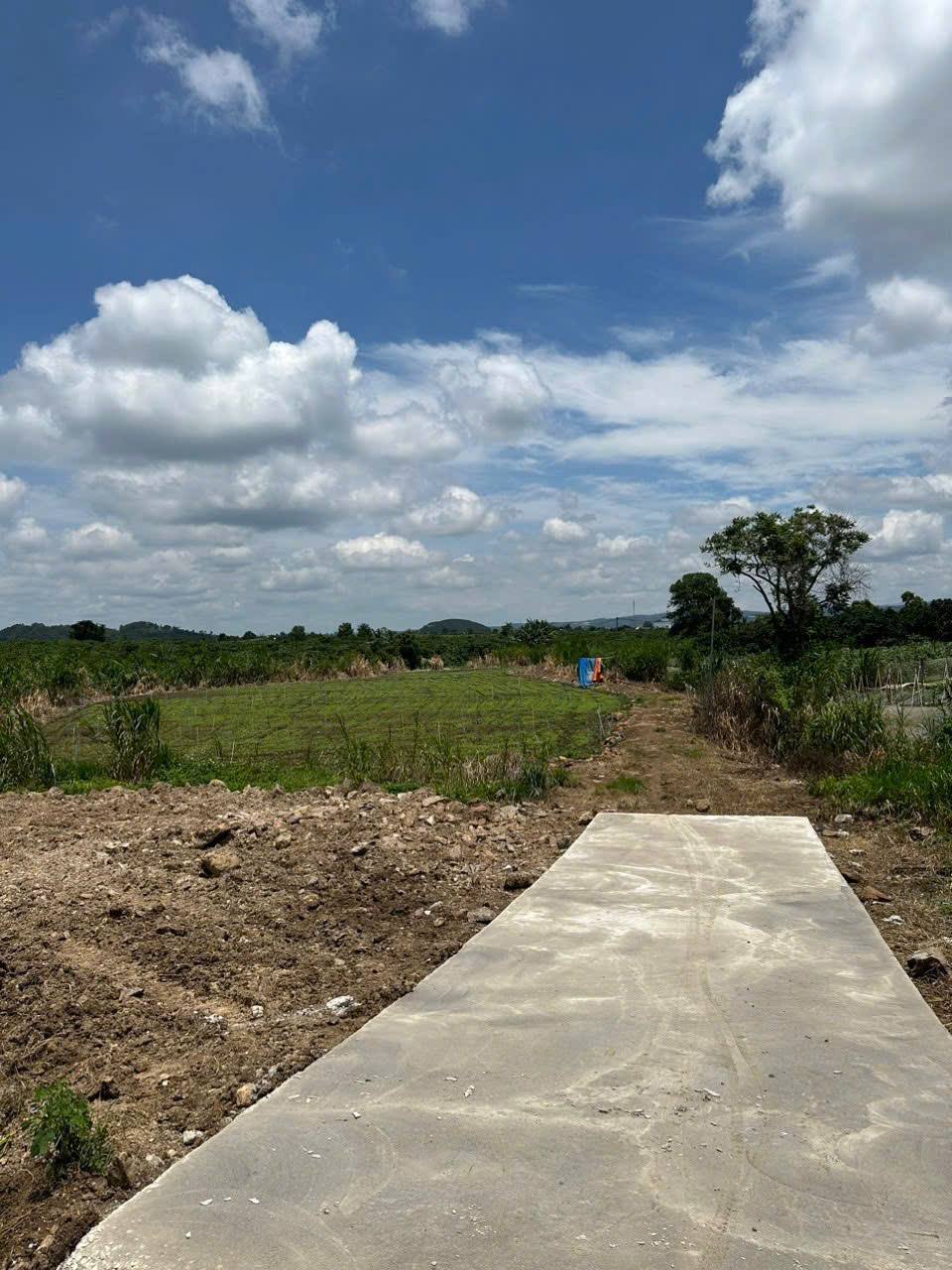 ĐẤT ĐẸP - GIÁ TỐT - Vị Trí Đắc Địa Tại Xã Tân Hội, Huyện Đức Trọng, Lâm Đồng - Ảnh chính