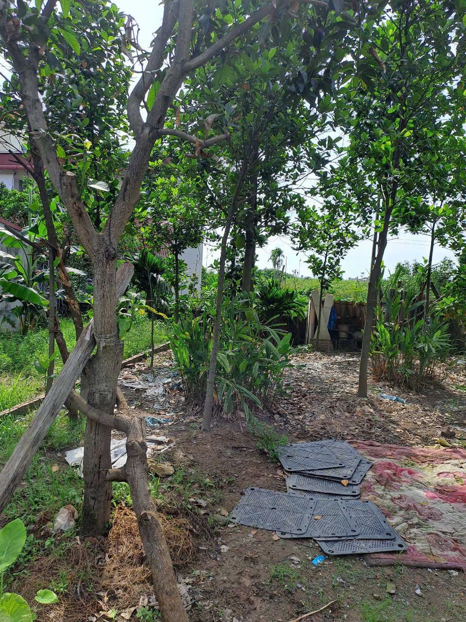 Đất thổ cư 52m ở Vân Canh - 30m ra đường ô tô, vuông vắn, giáp vành đai 3.5 - giá 113 tr/m - Ảnh 1