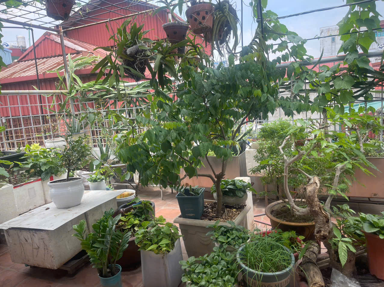 CỰC SỐC CHÍNH CHỦ CẦN BÁN NHÀ PHỐ ĐÀO TẤN QUẬN BA ĐÌNH 35M²x 5 TẦNG NHỈNH 9 TỶ Ô TÔ KD - Ảnh 4