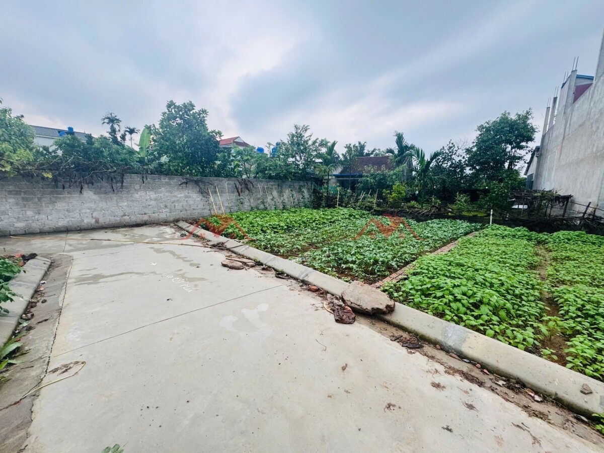 CHÍNH CHỦ BÁN LÔ ĐẤT 40,6M TẠI HÒNG SƠN-MỸ ĐỨC-HÀ NỘI - Ảnh 2