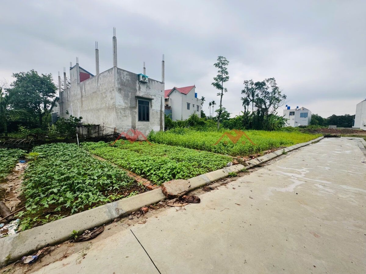 CHÍNH CHỦ BÁN LÔ ĐẤT 40,6M TẠI HÒNG SƠN-MỸ ĐỨC-HÀ NỘI - Ảnh 1
