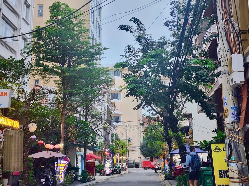 BÁN ĐẤT MẶT TIỀN AN THƯỢNG 26, KHU PHỐ TÂY. LH: 0905233234 - Ảnh 3