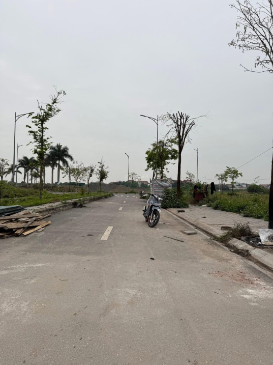 Bán đất tái định cư Đông Nam Cổ Dương, Tiên Dương - Ảnh 2