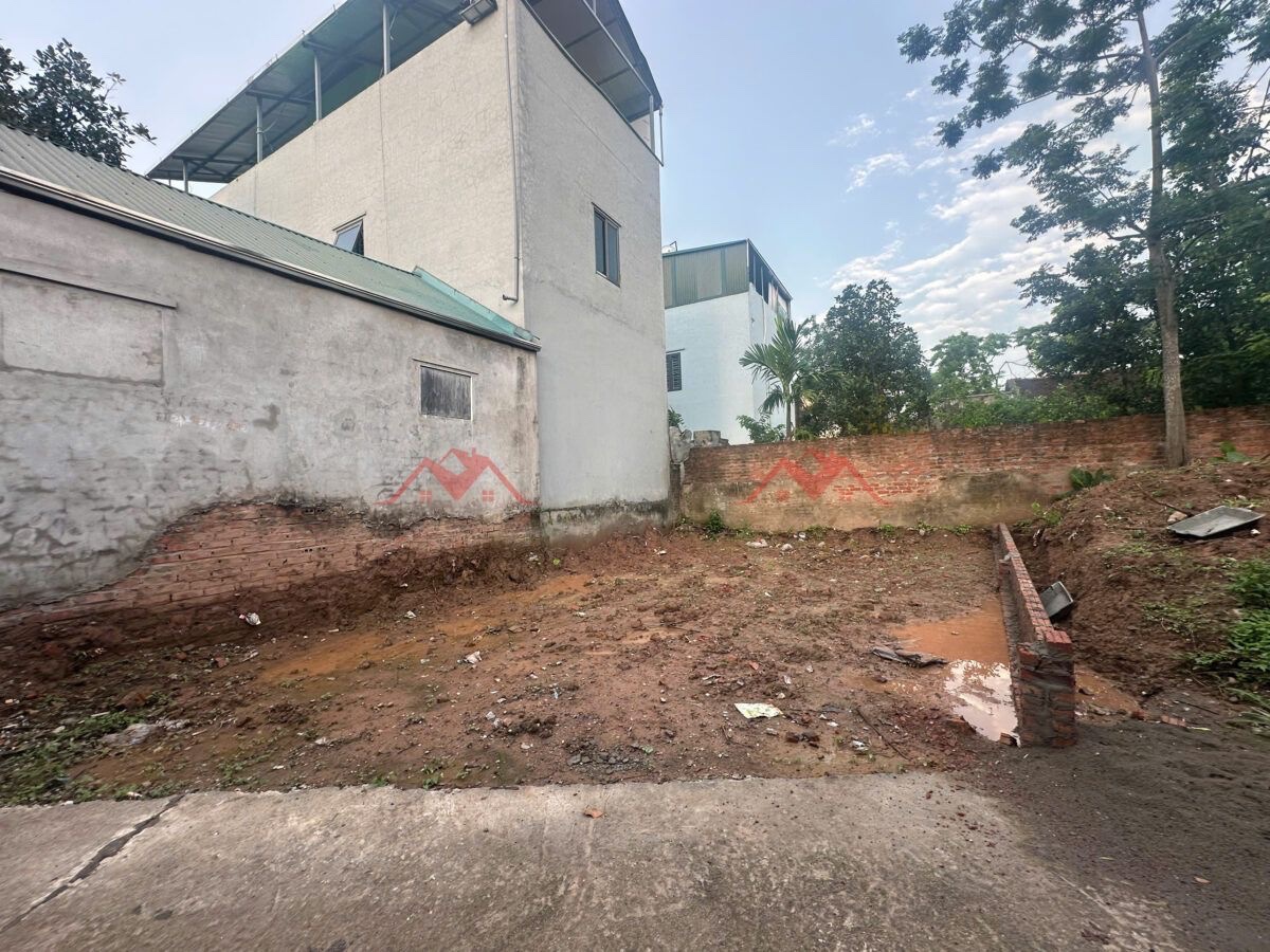 CHÍNH CHỦ BÁN LÔ ĐẤT 60,6M TẠI PHỤNG CHÂU-CHƯƠNG MỸ-HÀ NỘI - Ảnh chính