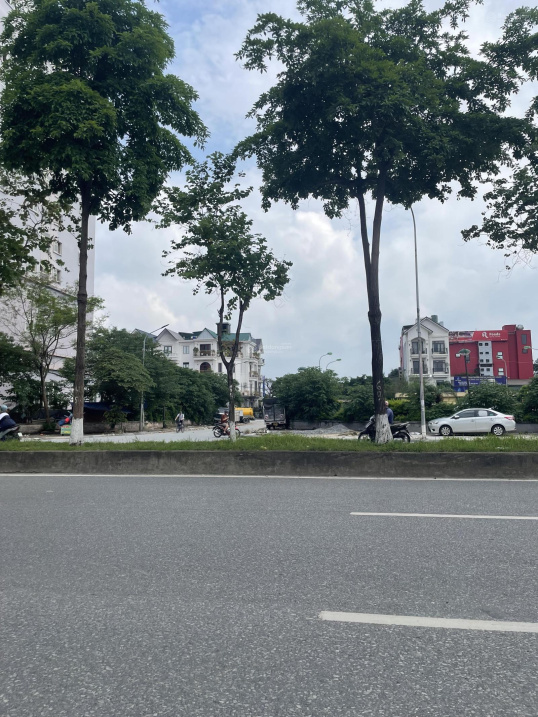 Chính chủ bán  lô đất biệt thự Đền Lừ 3, 112m, mặt tiền 8m, 250triệu/m, cạnh LOUIS city HOÀNG MAI - Ảnh 2