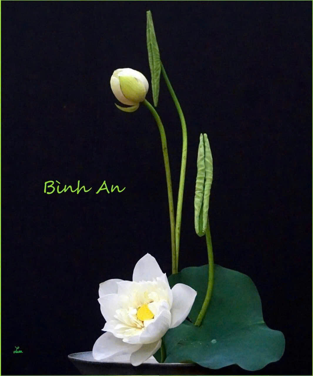 Bán gấp giá rẻ Mai Hương 20m, 4 tầng, mặt tiền 3m, 3 tỷ Hai Bà Trưng. - Ảnh chính