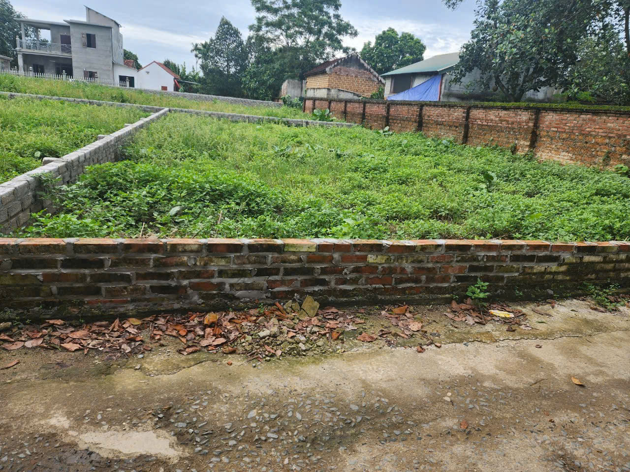 TC VÀI TỶ, CÓ LUÔN 100M2 FULL THỔ CƯ - Ảnh 1