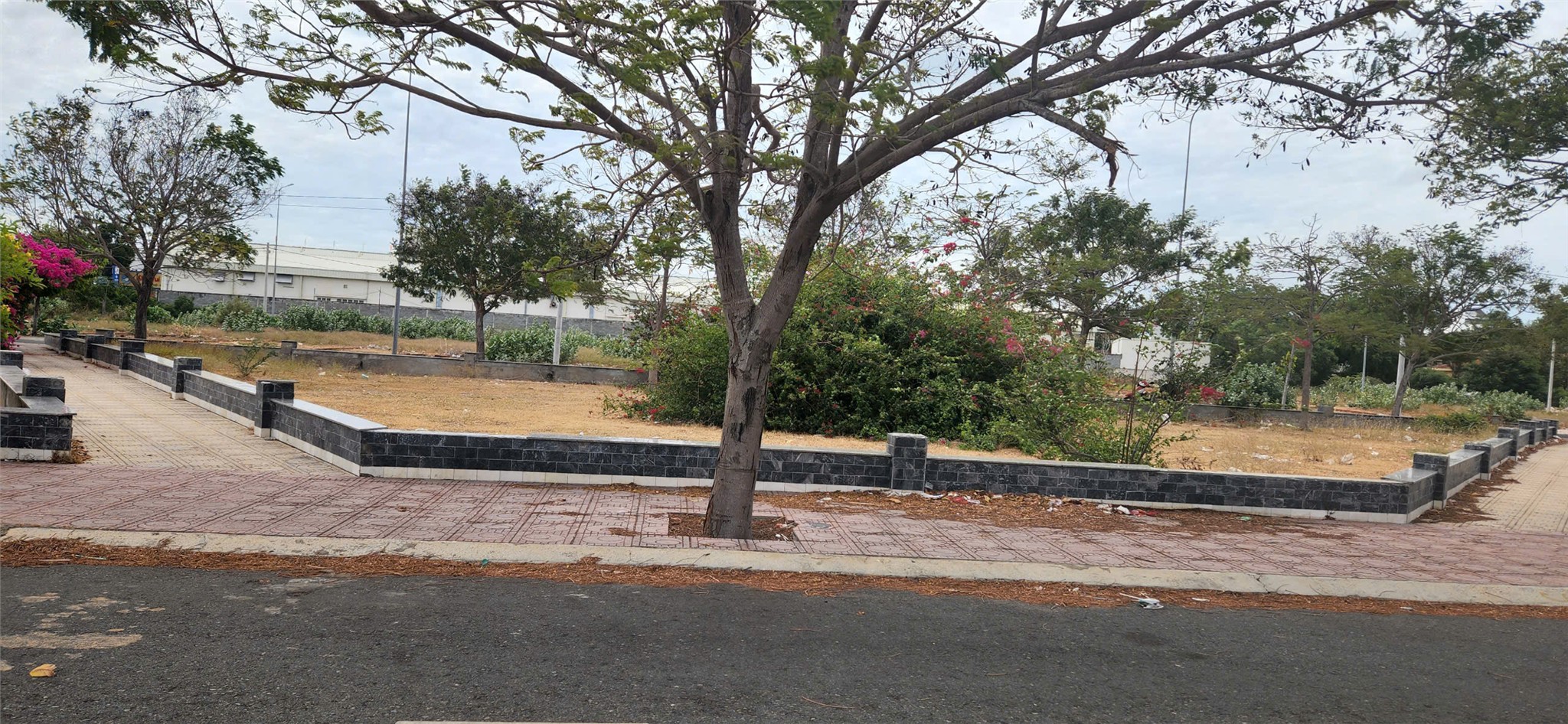 CHÍNH CHỦ BÁN ĐẤT VỊ TRÍ ĐẸP TẠI Thị Trấn Phan Rí Cửa - Tuy Phong - Bình Thuận - Ảnh 3