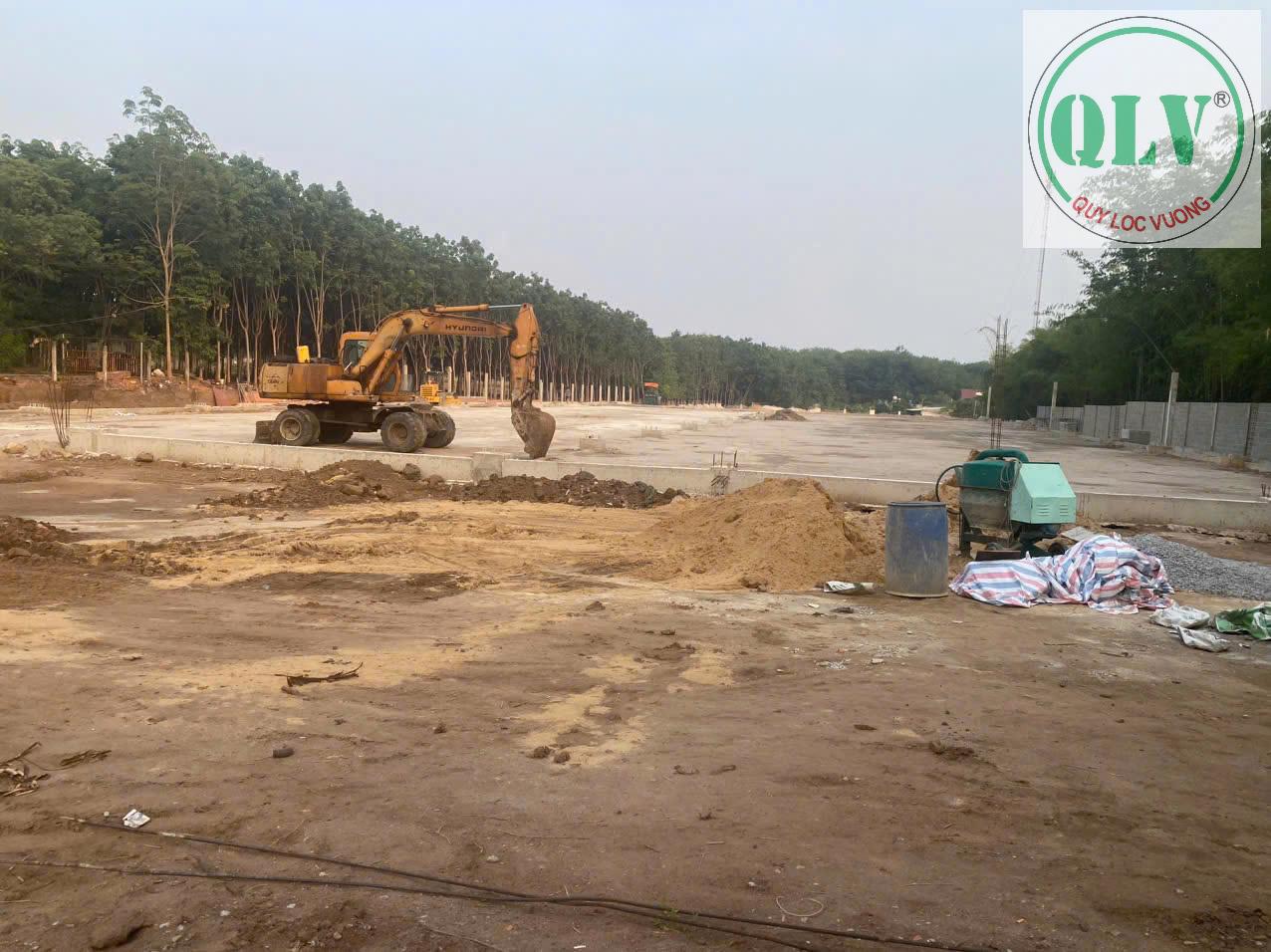 Cho thuê nhà xưởng 7.080m2, ở Vĩnh Hòa Phú Giáo ,BD, giá tốt hạ tầng hoàn thiện. - Ảnh 3