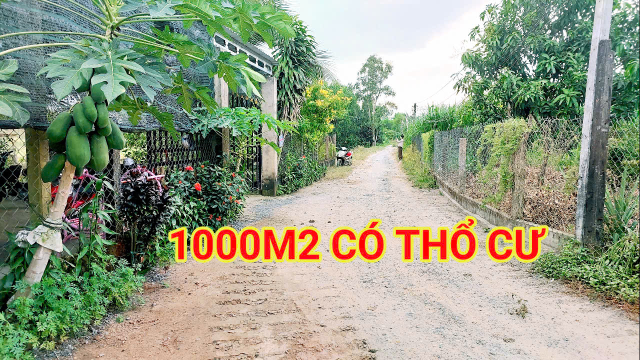 280 Triệu sang Tên 1000m2 có Thổ Cư, Gần DT 818, mỗi tháng trả thêm 3 triệu - Ảnh 2