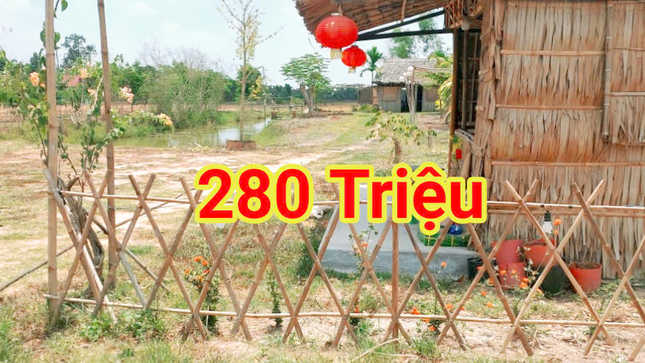 280 Triệu sang Tên 1000m2 có Thổ Cư, Gần DT 818, mỗi tháng trả thêm 3 triệu - Ảnh chính