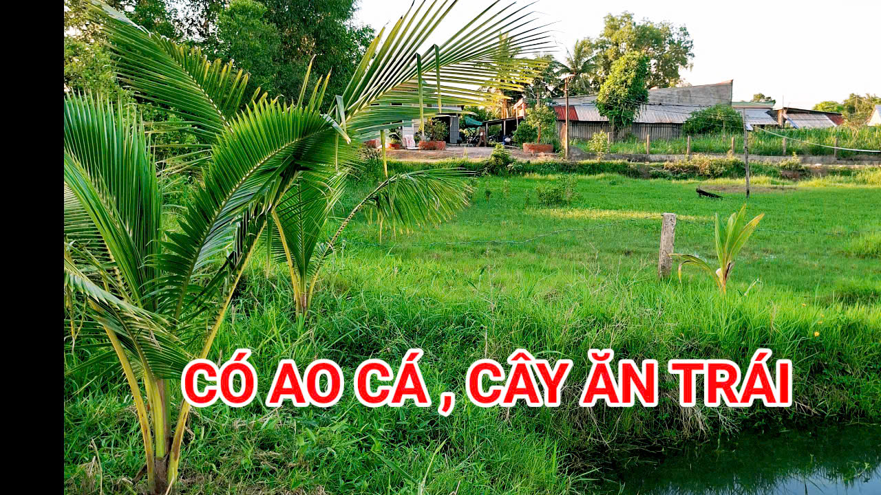 280 Triệu sang Tên 1000m2 có Thổ Cư, Gần DT 818, mỗi tháng trả thêm 3 triệu - Ảnh 3