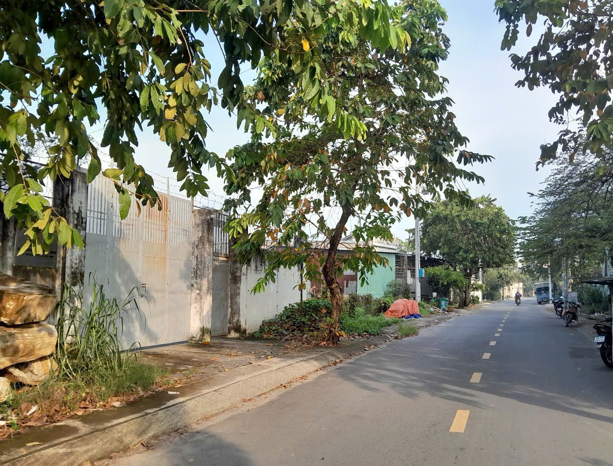 Đất 2592m2 có 26 tỷ x Mặt tiền Nguyễn Thị Điệp Đông Thạnh Hóc Môn TP. Hồ Chí Minh. - Ảnh 1