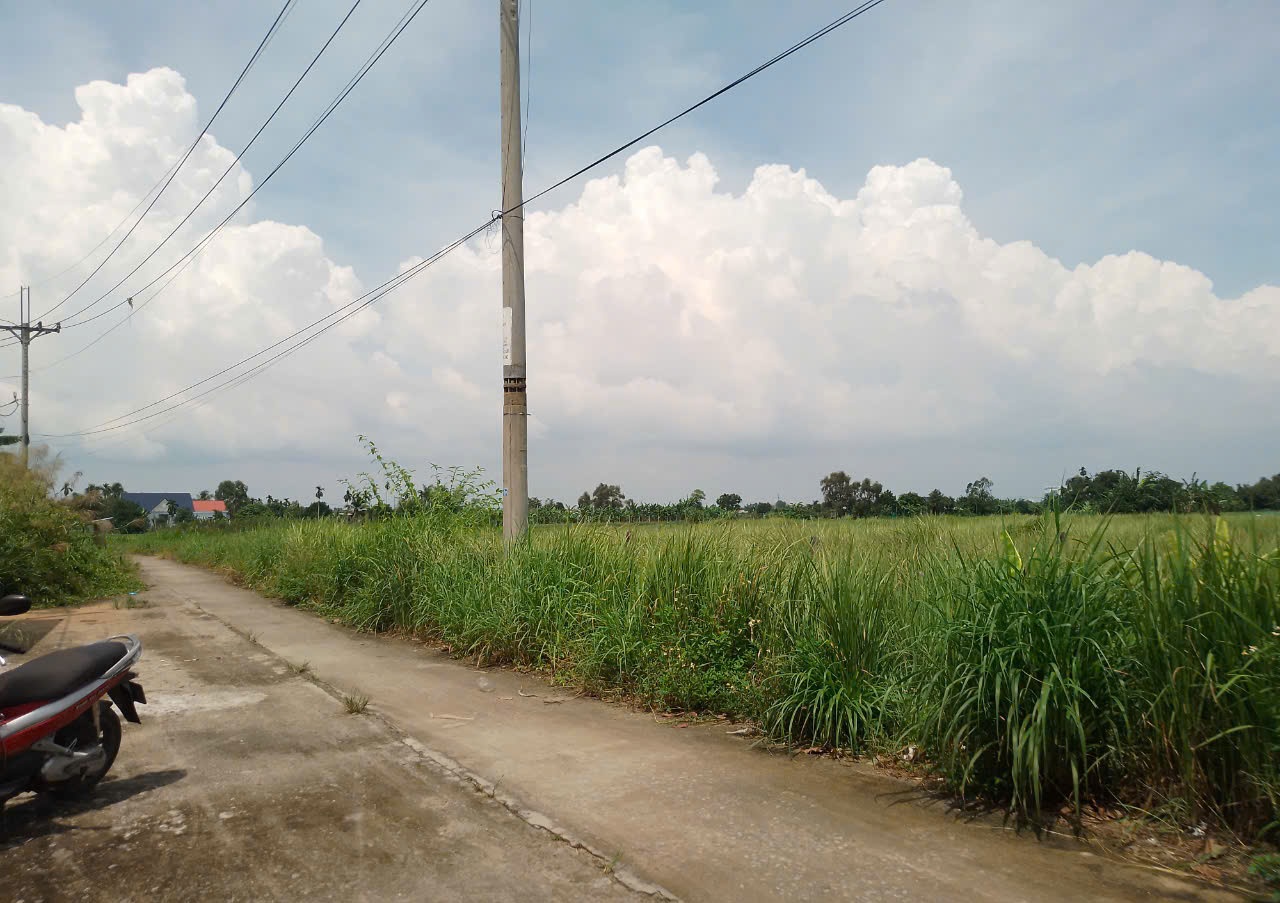 Đất 2592m2 có 26 tỷ x Mặt tiền Nguyễn Thị Điệp Đông Thạnh Hóc Môn TP. Hồ Chí Minh. - Ảnh 2