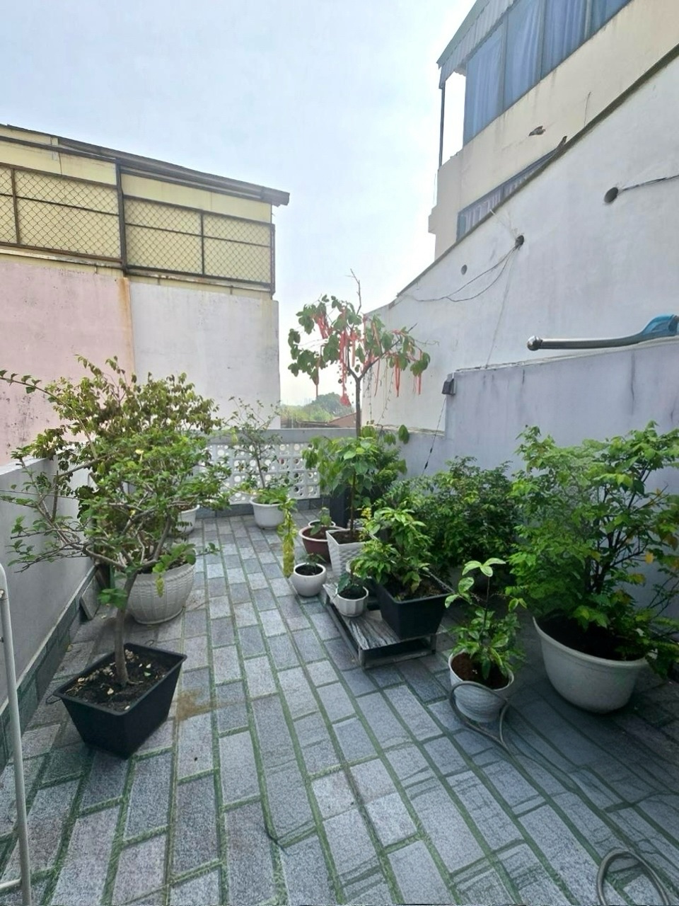 BÁN NHÀ QUẬN 4 - GẦN TRƯỜNG HỌC KHÁNH HỘI - GIAO THƯƠNG VỚI TÔN THẤT THUYẾT VÀ NGUYỄN TẤT THÀNH. - Ảnh 4