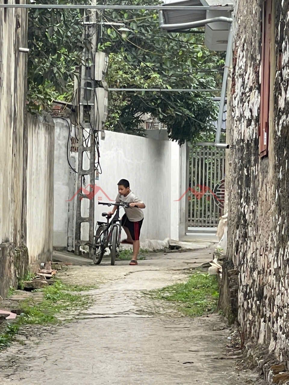 CHÍNH CHỦ BÁN LÔ ĐẤT 54M TẠI PHỤNG CHÂU-CHƯƠNG MỸ-HÀ NỘI - Ảnh 3