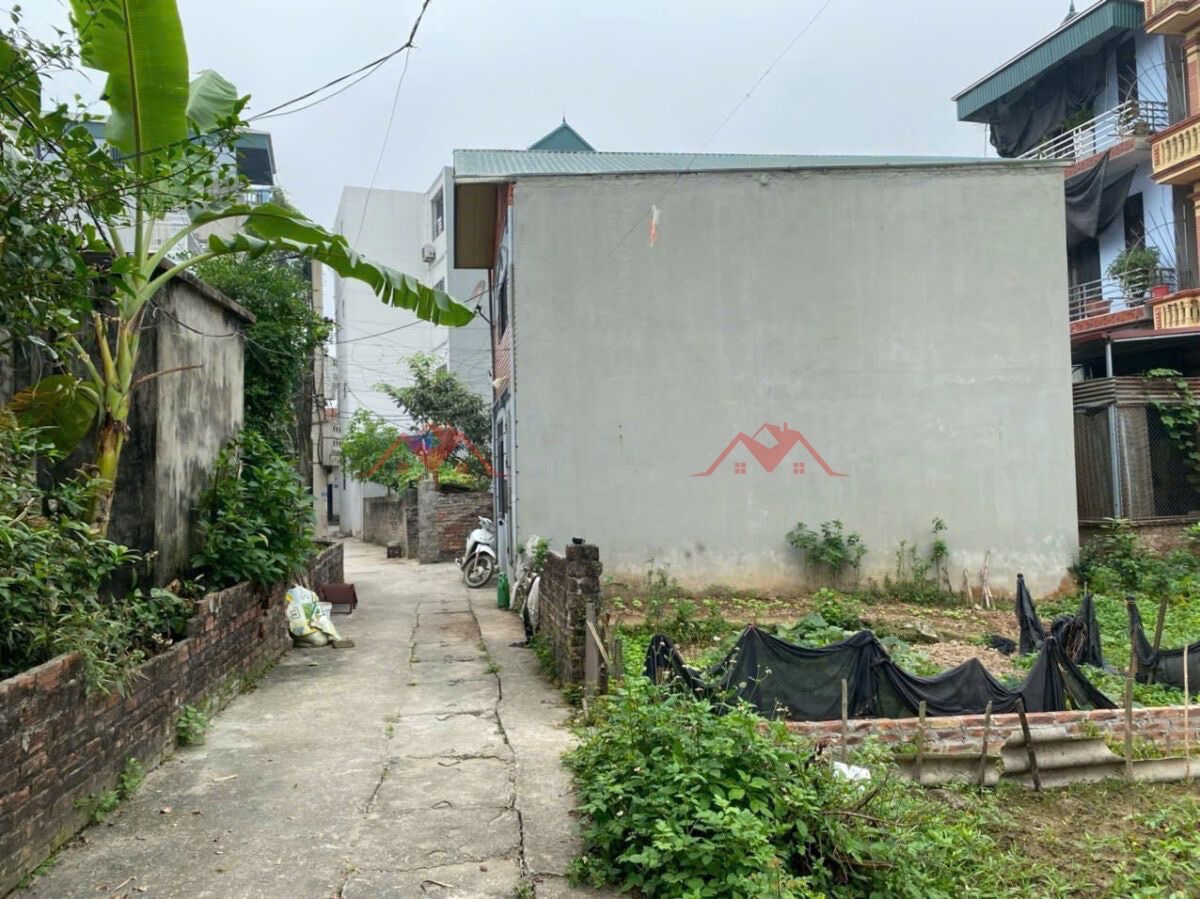 CHÍNH CHỦ BÁN LÔ ĐẤT 45M TẠI NHÂN HUỆ-ĐỒNG MAI-HÀ ĐÔNG-HÀ NỘI - Ảnh 1