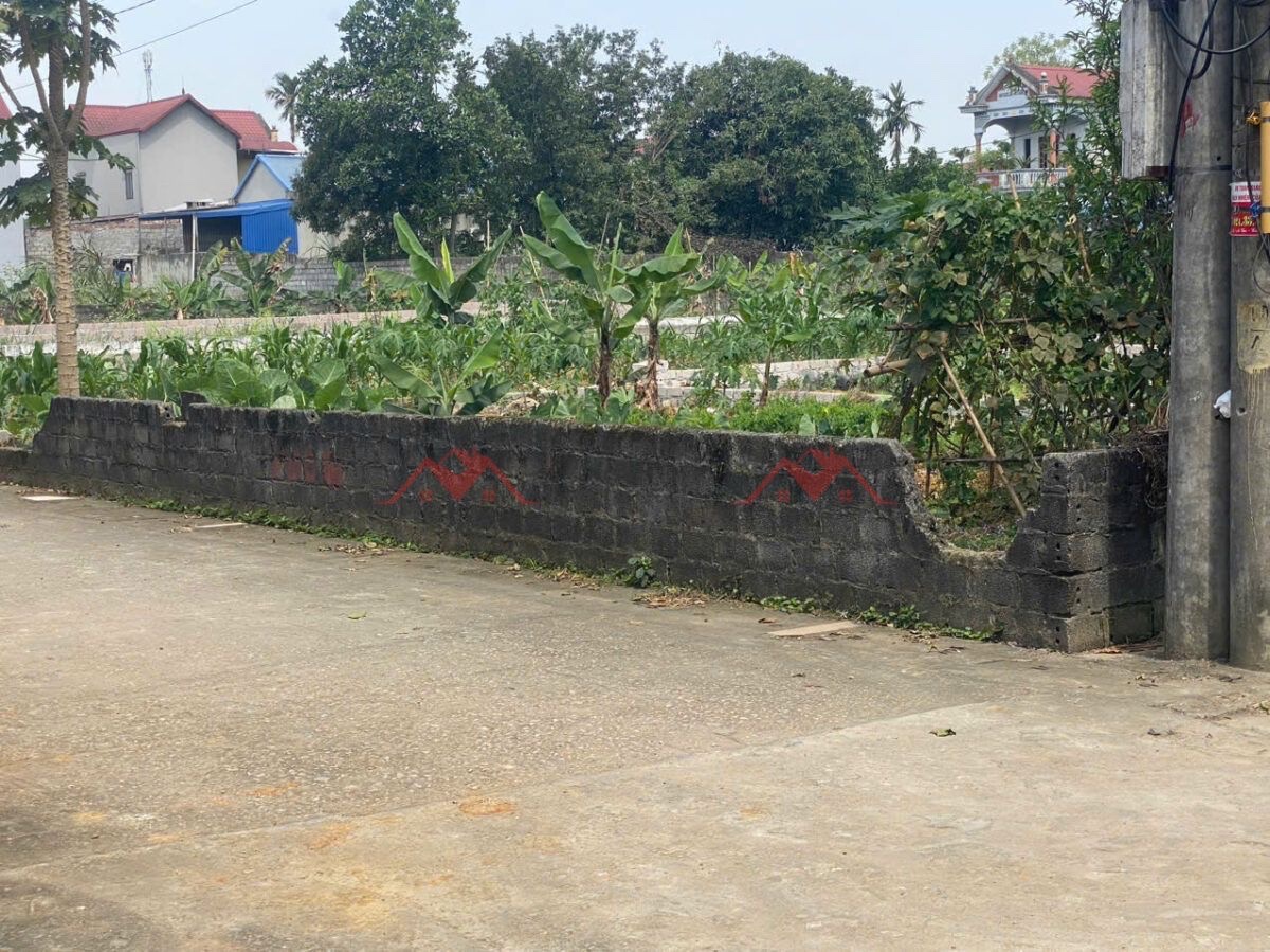 CHÍNH CHỦ BÁN LÔ ĐẤT 117,3M TẠI HOÀNG VĂN THỤ-CHƯƠNG MỸ-HÀ NỘI - Ảnh chính