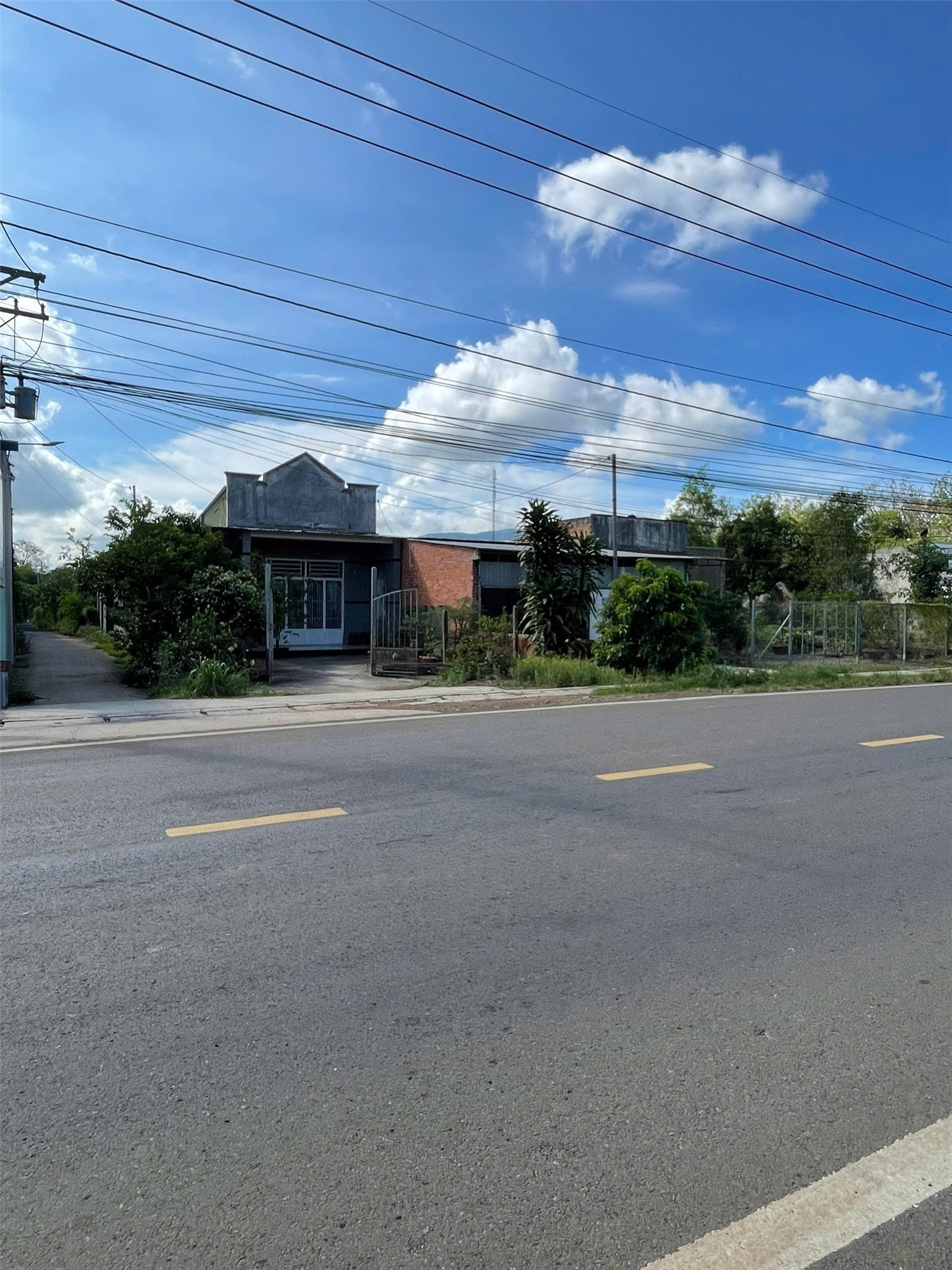 ĐẤT ĐẸP - ĐẦU TƯ SINH LỜI - Bán Gấp Đất Tại huyện Xuân Lộc, tỉnh Đồng Nai( bán cả lô hoặc nửa lô) - Ảnh 3