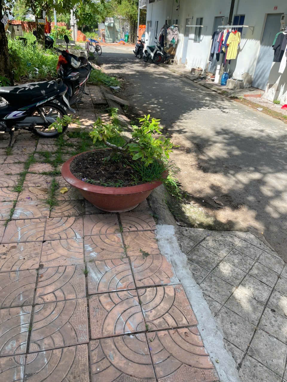 CHÍNH CHỦ CẦN BÁN NHANH NHÀ ĐẤT Tại huyện Phong Điền ,TP Cần Thơ - Ảnh 3