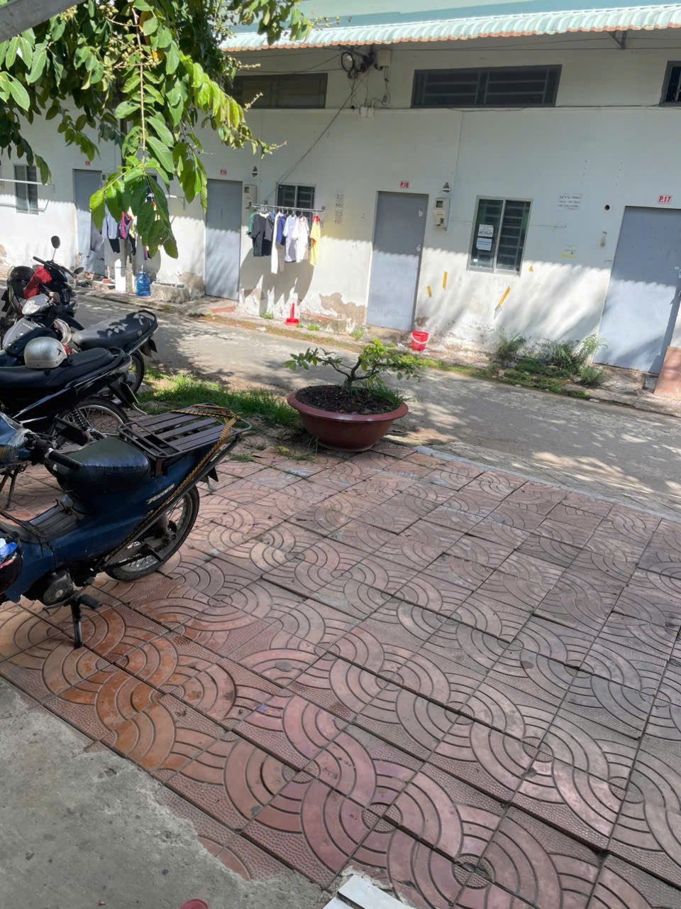 CHÍNH CHỦ CẦN BÁN NHANH NHÀ ĐẤT Tại huyện Phong Điền ,TP Cần Thơ - Ảnh chính