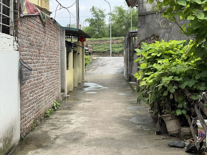 Đất Thổ Cư Làng Vàng: 108m2, nở hậu, ô tô vào, gần đường Đê Vàng - Ảnh chính