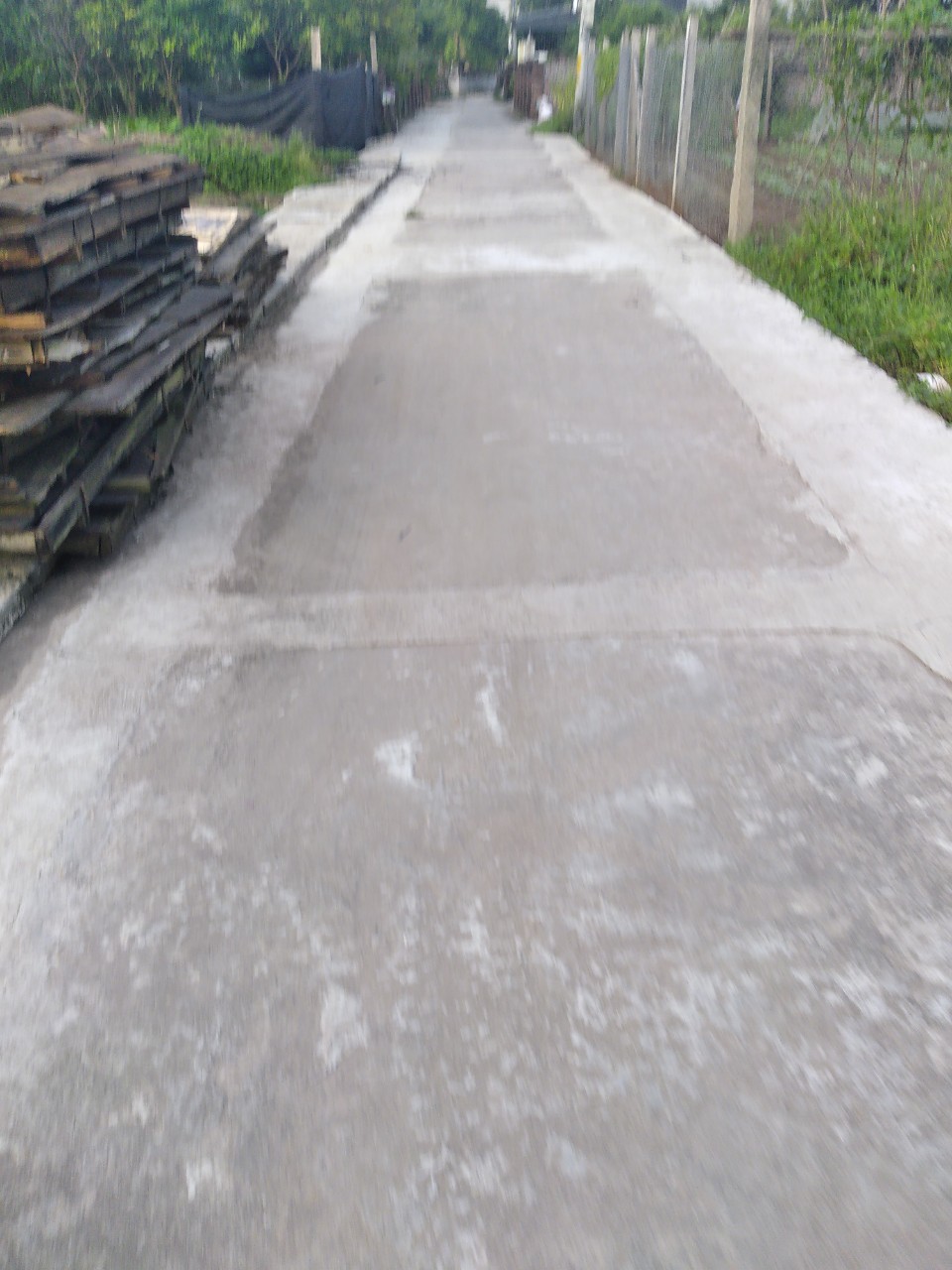 Nhà xưởng sắt hình, tôn lạnh 444m, mặt tiền 14m, 1.75 tỷ Hiệp Hòa, Bắc Giang. - Ảnh 3