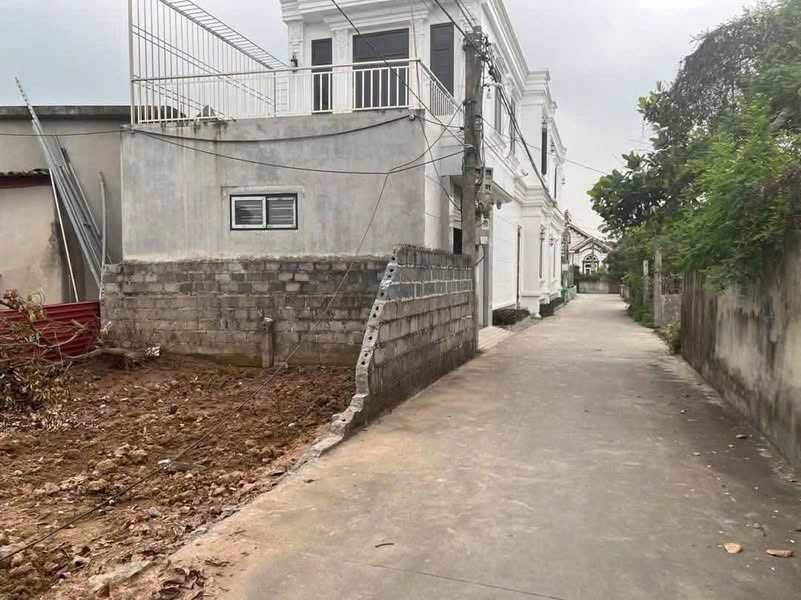 ĐẤT CHÍNH CHỦ - 3 LÔ LIỀN KỀ - Thượng Trang, Bát Trang, An Lão - Hải Phòng - Ảnh chính