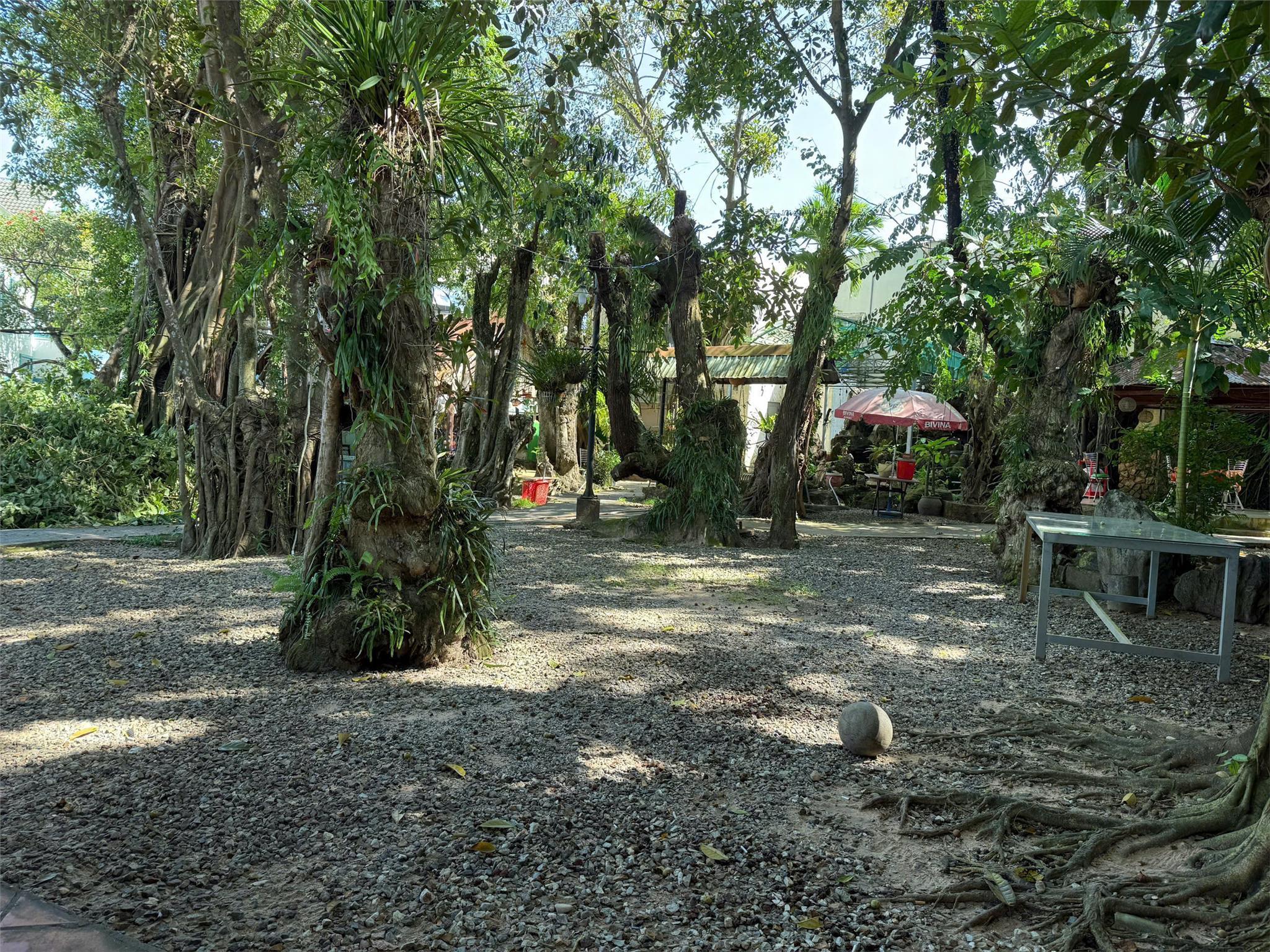 Bán đất Cafe Sân Vườn – Mặt Tiền Đẹp Nguyễn Chí Thanh, Phú Quốc, Vị Trí Đắt Giá - Ảnh 1