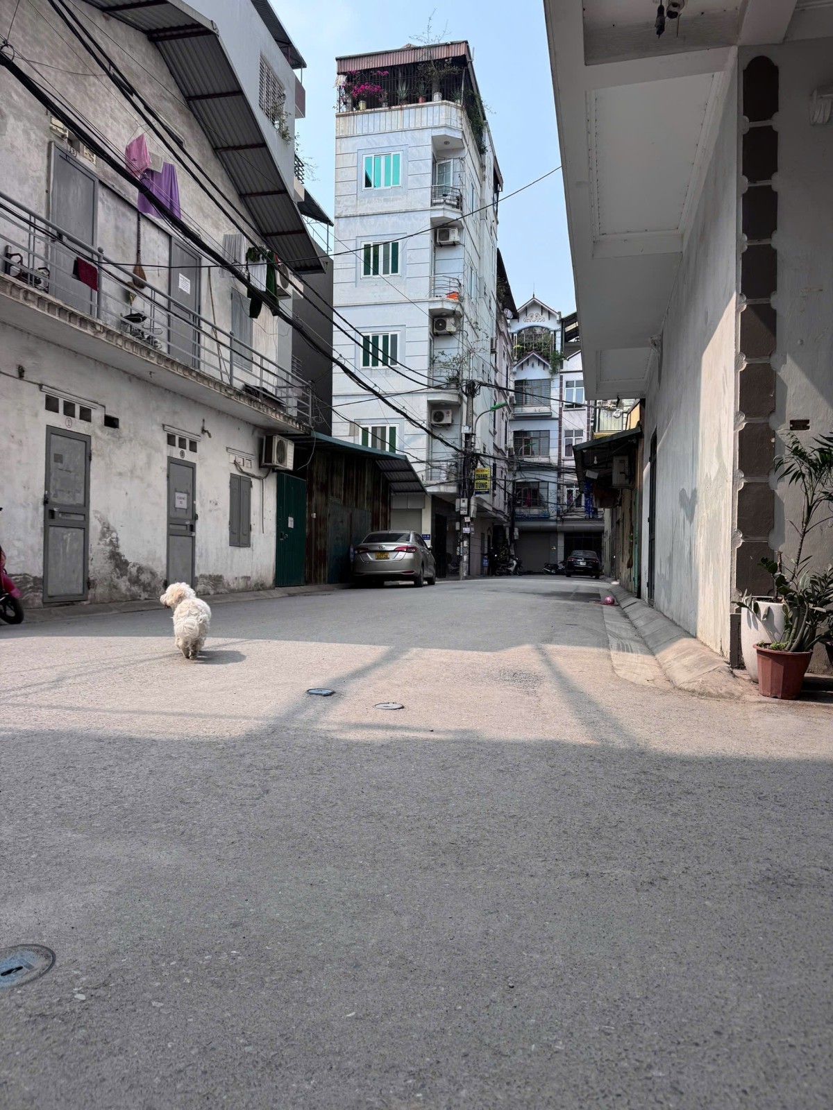 BÁN NHÀ PHÂN LÔ PHẠM VĂN NGHỊ - Ô TÔ TRÁNH - NGAY GẦN HỌC VIỆN CẢNH SÁT - SÁT ĐƯỜNG TÂY THĂNG LONG - Ảnh 3