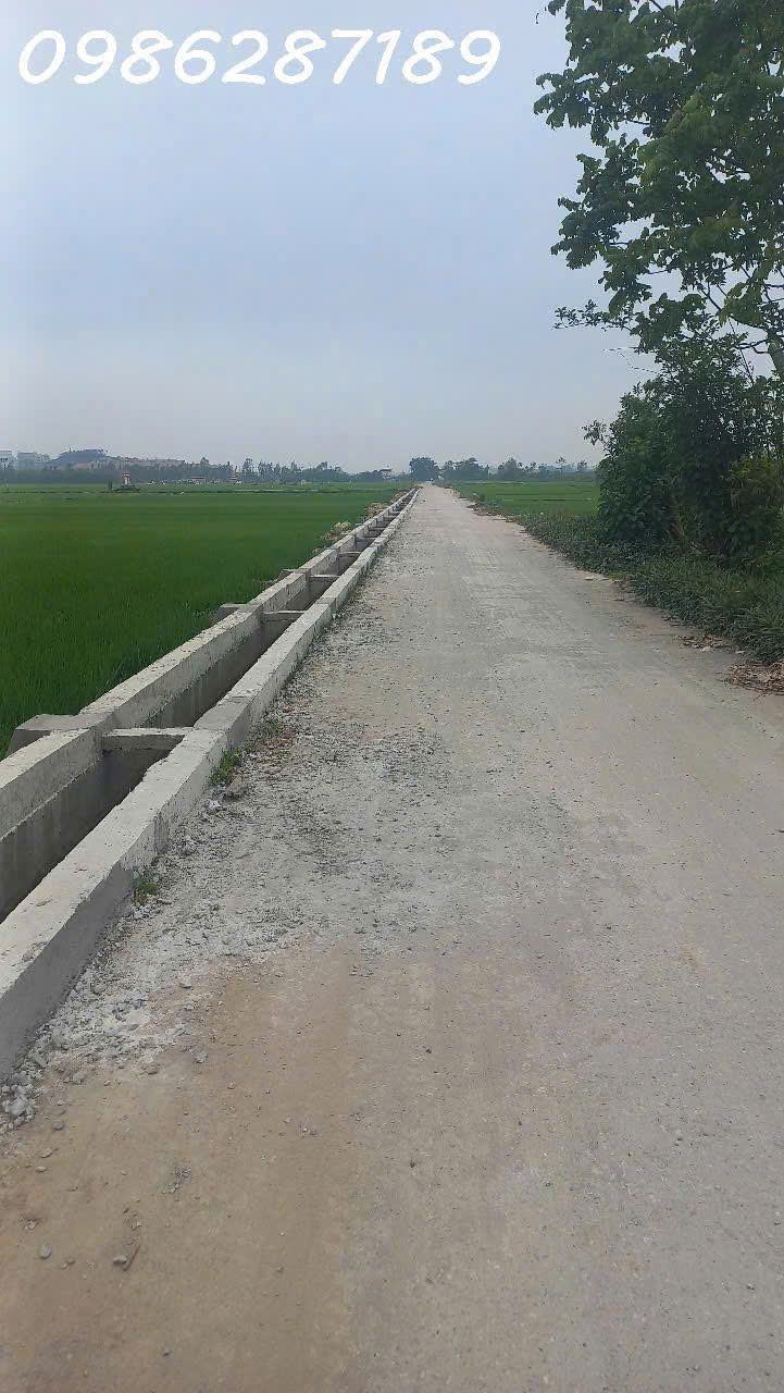 cần bán lô đất 2 mặt tiền đẹp thôn An Trạch, Phù Lãng, Quế Võ, Bắc Ninh. - Ảnh 1