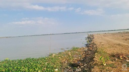 CHÍNH CHỦ CẦN BÁN 2 LÔ ĐẤT TẠI - TP HỒ CHI MINH - Ảnh chính