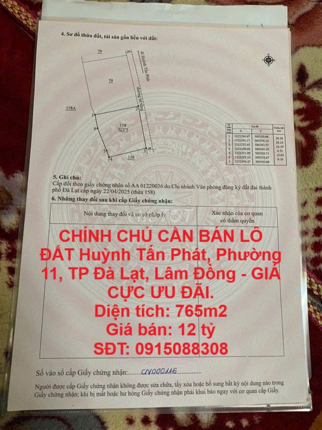 CHÍNH CHỦ CẦN BÁN LÔ ĐẤT Huỳnh Tấn Phát, Phường 11, TP Đà Lạt, Lâm Đồng - GIÁ CỰC ƯU ĐÃI. - Ảnh chính