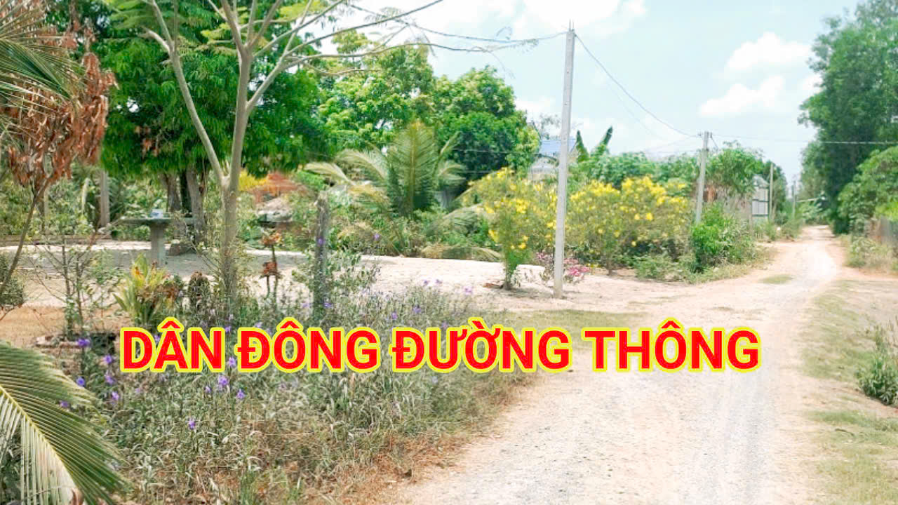 300 Triệu sang Tên 1000m2 có Thổ Cư, Gần DT 818, mỗi tháng trả dần 3 triệu - Ảnh 1