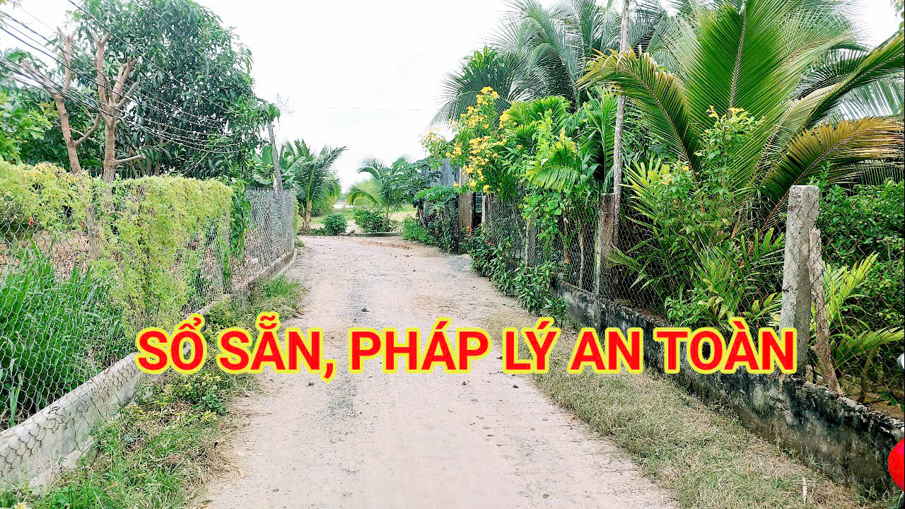 300 Triệu sang Tên 1000m2 có Thổ Cư, Gần DT 818, mỗi tháng trả dần 3 triệu - Ảnh chính