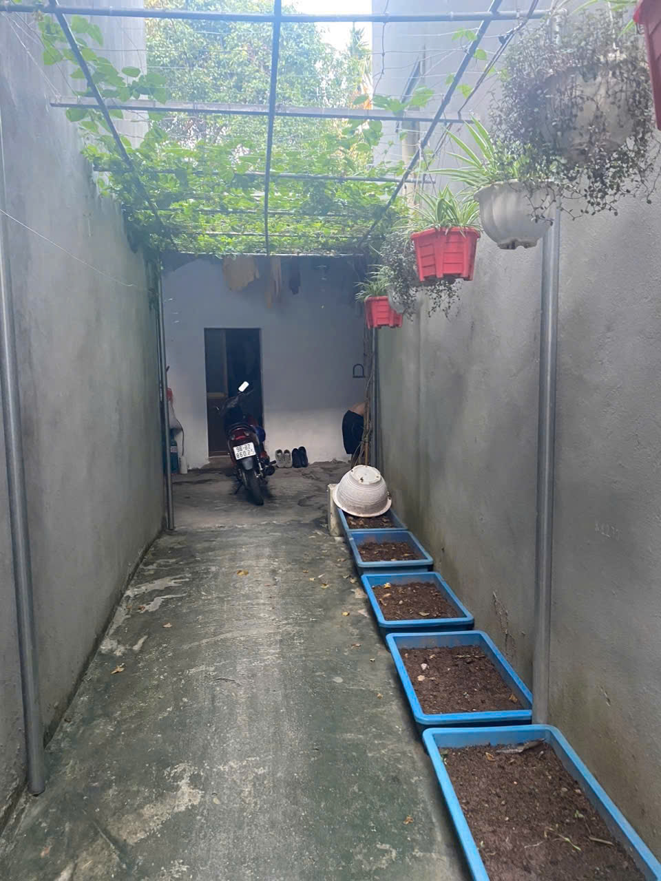 🏡 BÁN NHÀ CÓ THU NHẬP – ĐẤT VUÔNG ĐẸP – PHÚC LỢI, LONG BIÊN - Ảnh 3