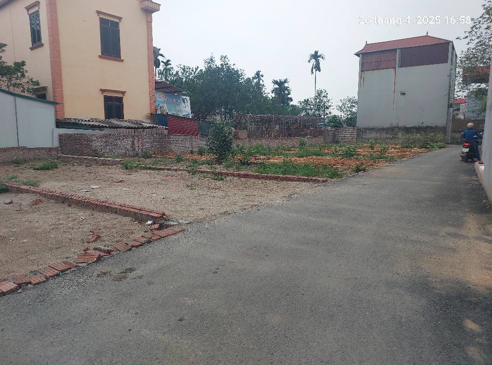 Bán đất Cổ Loa 50m2, mt4.5m, 4.15 tỷ, Đông Anh, ô tô, thông. - Ảnh 3