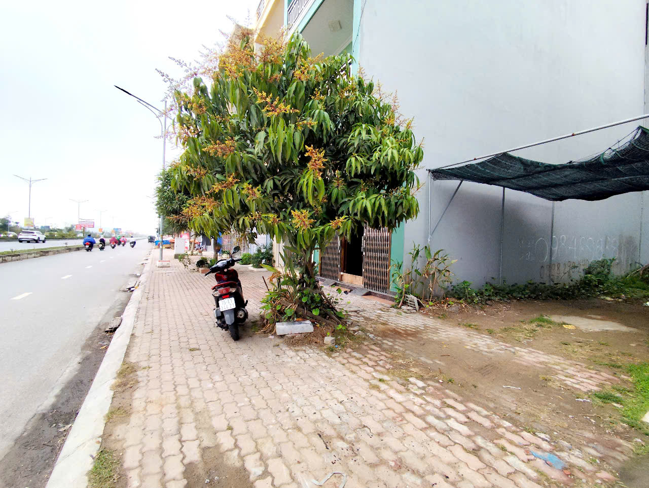 Đất mặt đường Bùi Viện - TĐC Tam Kỳ, 63m, MT 4.2, đón Cầu Rào 3 siêu đẹp - Ảnh 1