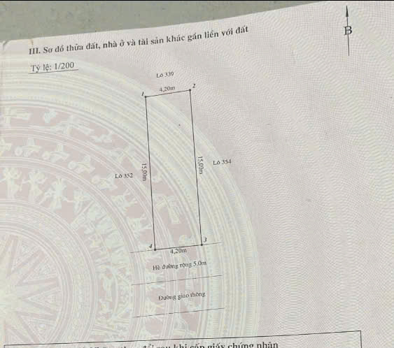 Đất mặt đường Bùi Viện - TĐC Tam Kỳ, 63m, MT 4.2, đón Cầu Rào 3 siêu đẹp - Ảnh 4