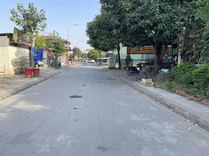 Đất đẹp KĐT 31ha Trâu Quỳ: 254m2, mặt tiền rộng, kinh doanh đỉnh, đối diện chợ tạm Trâu Quỳ - Ảnh chính