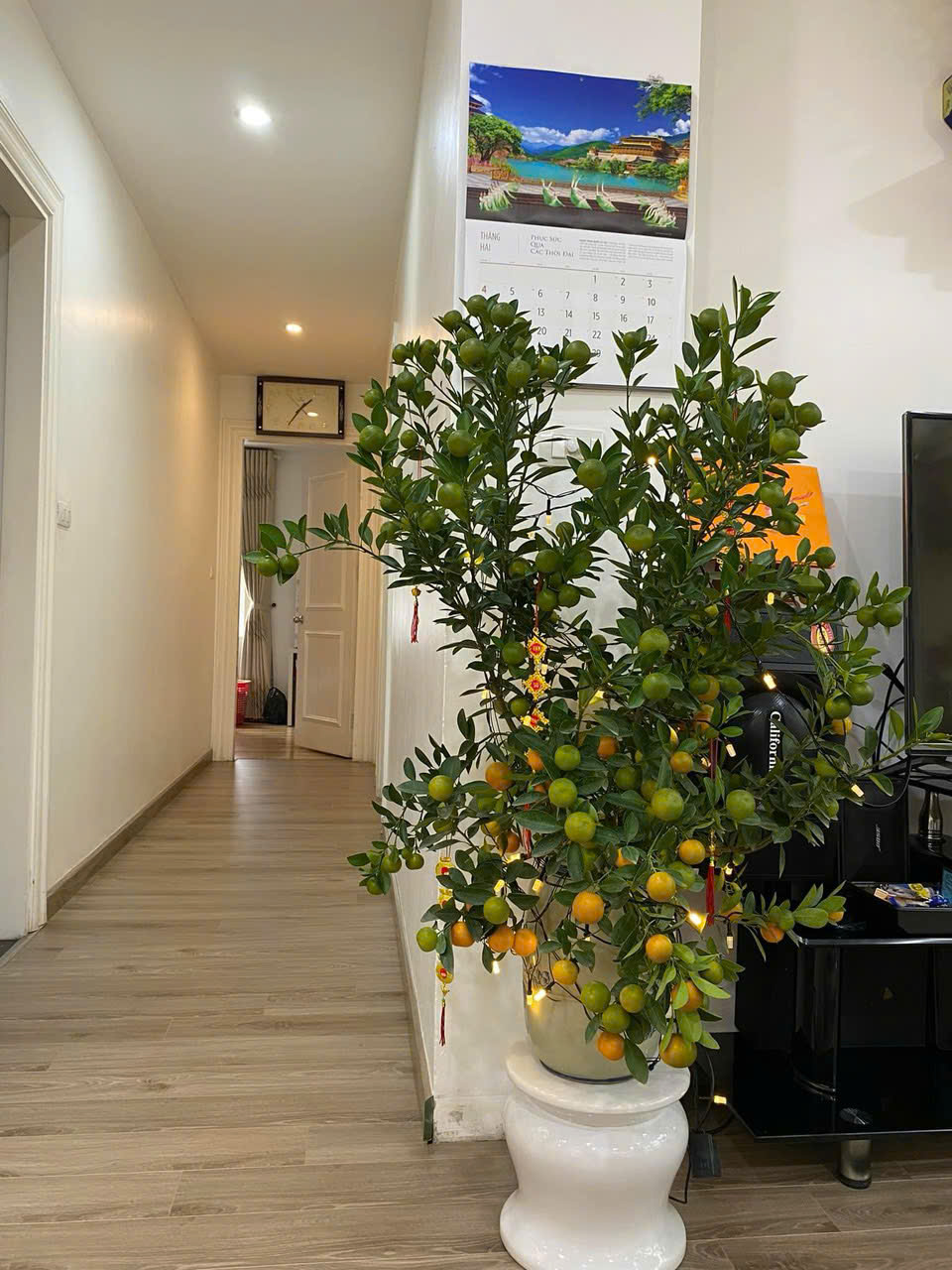 Căn Hộ Chung Cư Cao Cấp Residence Nguyễn Huy Tưởng - Ảnh 3