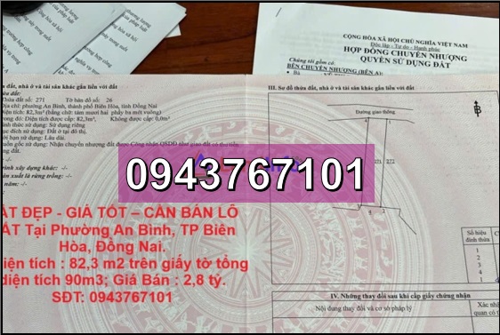 ⭐️Chính chủ CẦN BÁN LÔ ĐẤT tại phường An Bình, TP.Biên Hòa, Đồng Nai. 2,8tỷ, 0943767101 - Ảnh chính