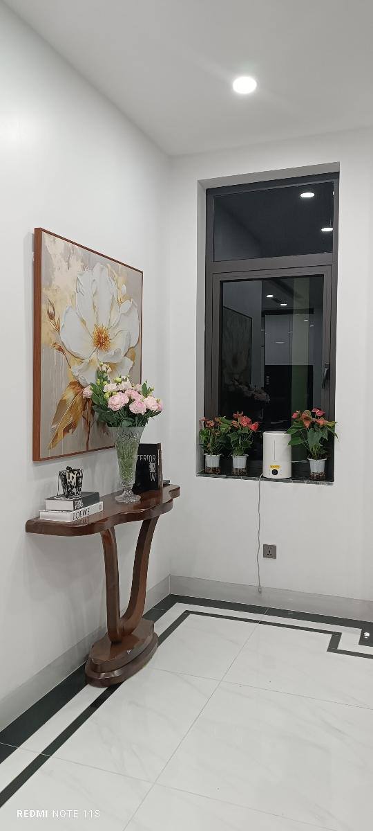 BÁN NHÀ KIM ĐỒNG – BIỆT THỰ PHÂN LÔ - THANG MÁY – 150M2 – 39 TỶ - Ảnh 3