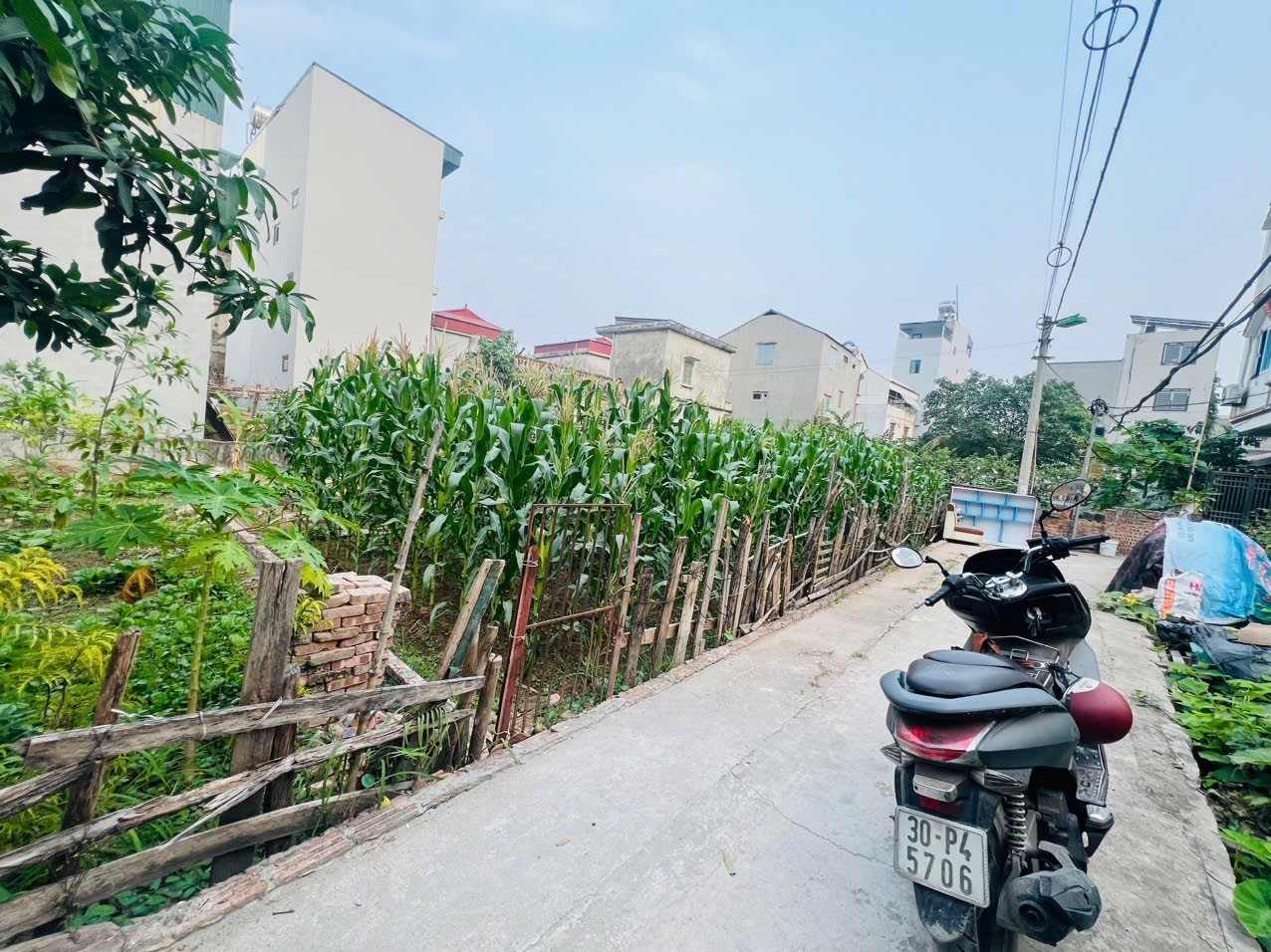 🔥 BÁN ĐẤT PHƯỜNG PHÚC LỢI - LONG BIÊN 🔥 - Ảnh chính