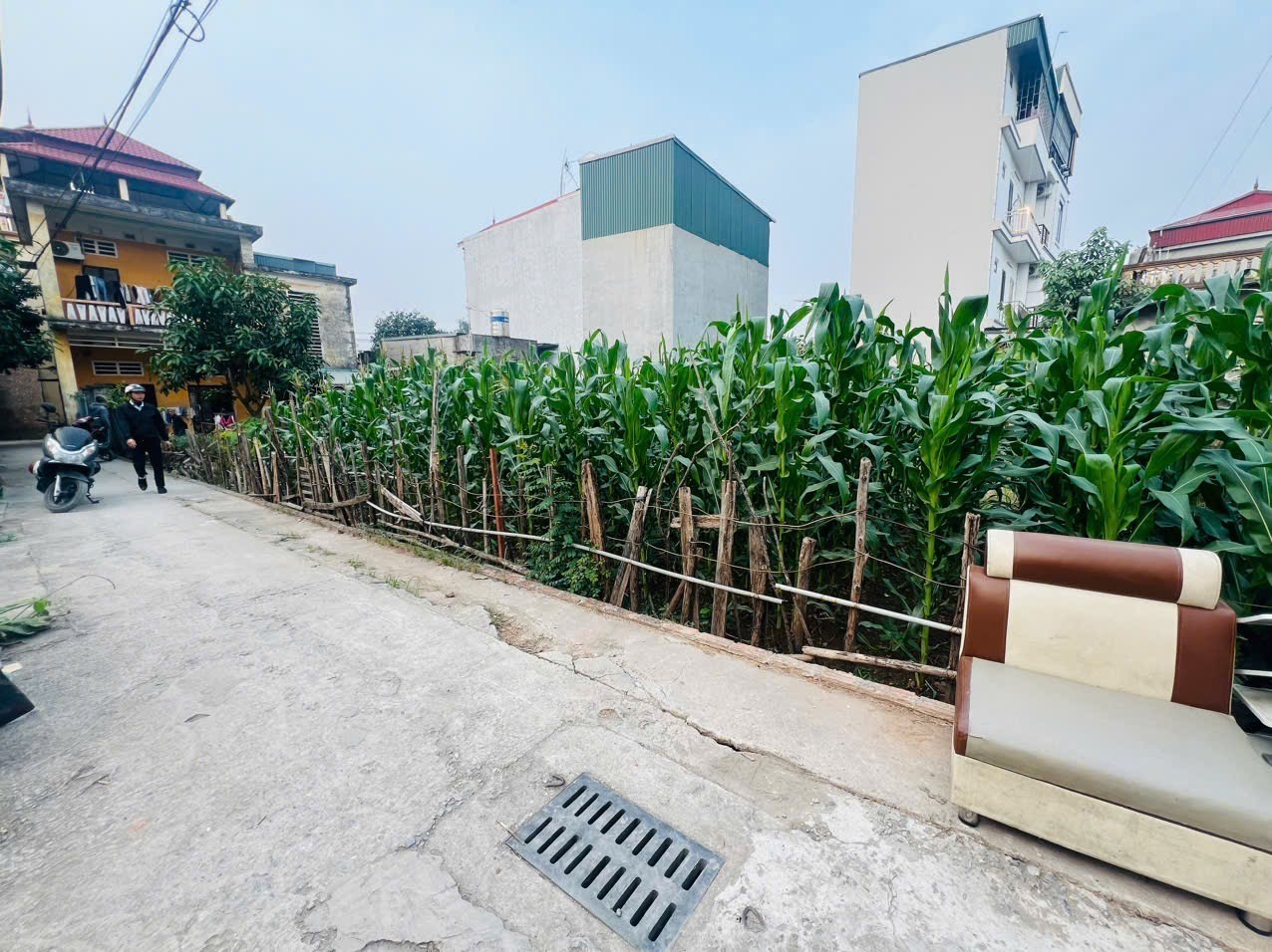 🔥 BÁN ĐẤT PHƯỜNG PHÚC LỢI - LONG BIÊN 🔥 - Ảnh 3