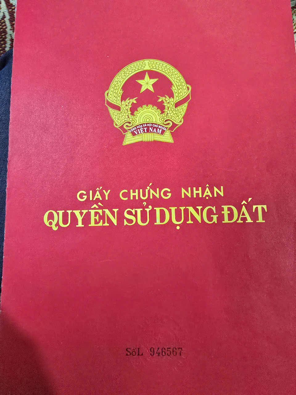 HOA HẬU NÓNG NHẤT XUÂN GIANG DT 80 M FUN TC KHUÔN THỬA ĐẸP  VỊ CHÍ ĐẤT SAT CHỢ  CÁCH 10 M - Ảnh chính